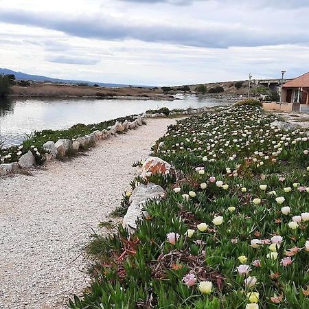 Maisonnette Entre Etang Et Plage 勒卡特 外观 照片