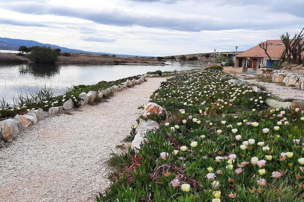 Maisonnette Entre Etang Et Plage 勒卡特 外观 照片